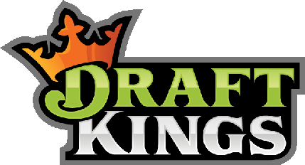 DraftKings Fantasy Football Millionaire Winning Lineup Week 13